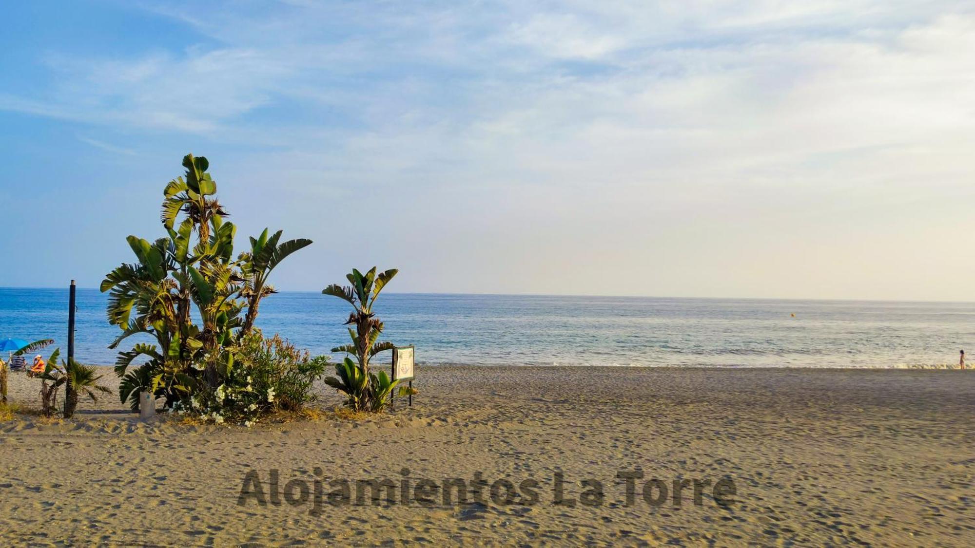 Laguna Beach Premium - Alojamientos La Torre Torrox Eksteriør billede